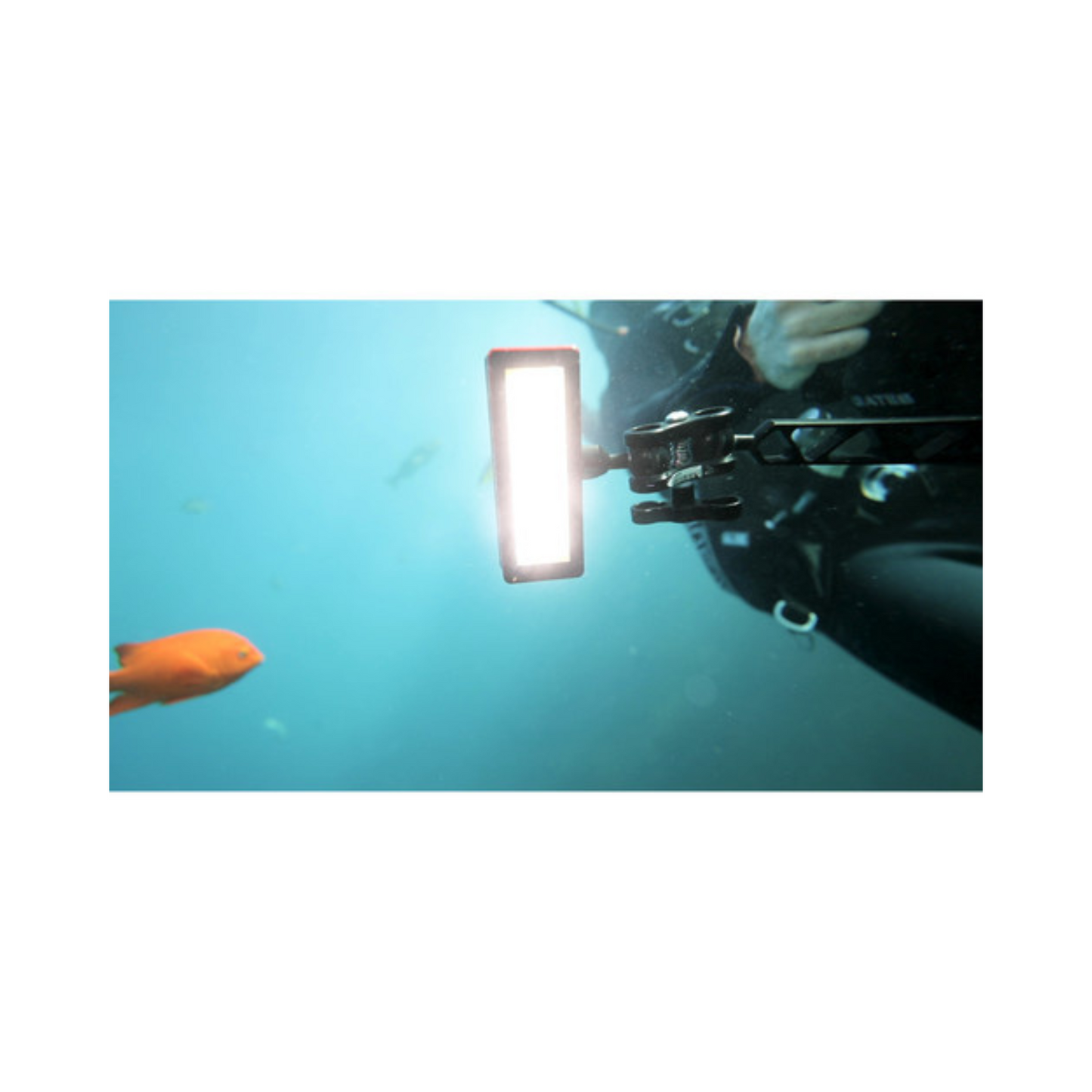 Aputure Amaran AL-MW, Mini LED Light, Black