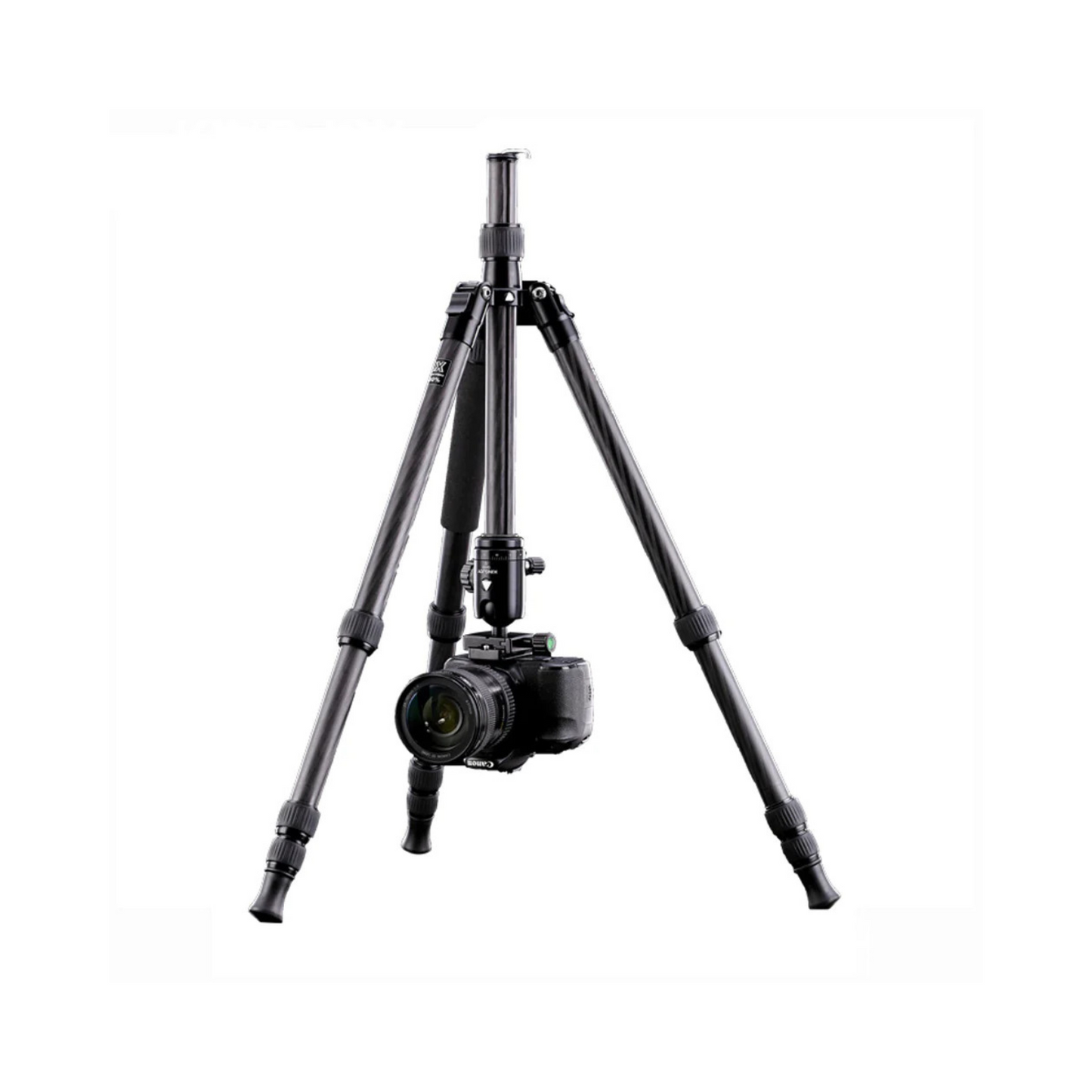 Kingjoy K2208+QH20 Carbon F
