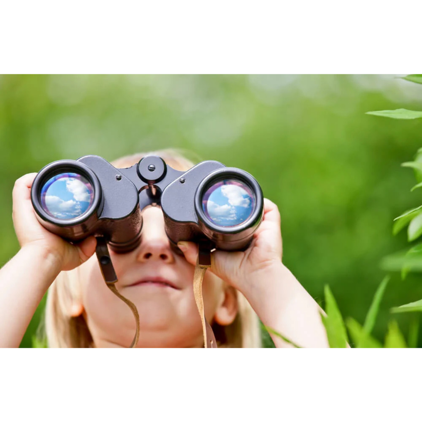 Nikon Aculon A211 7x35 Binocular (Black)