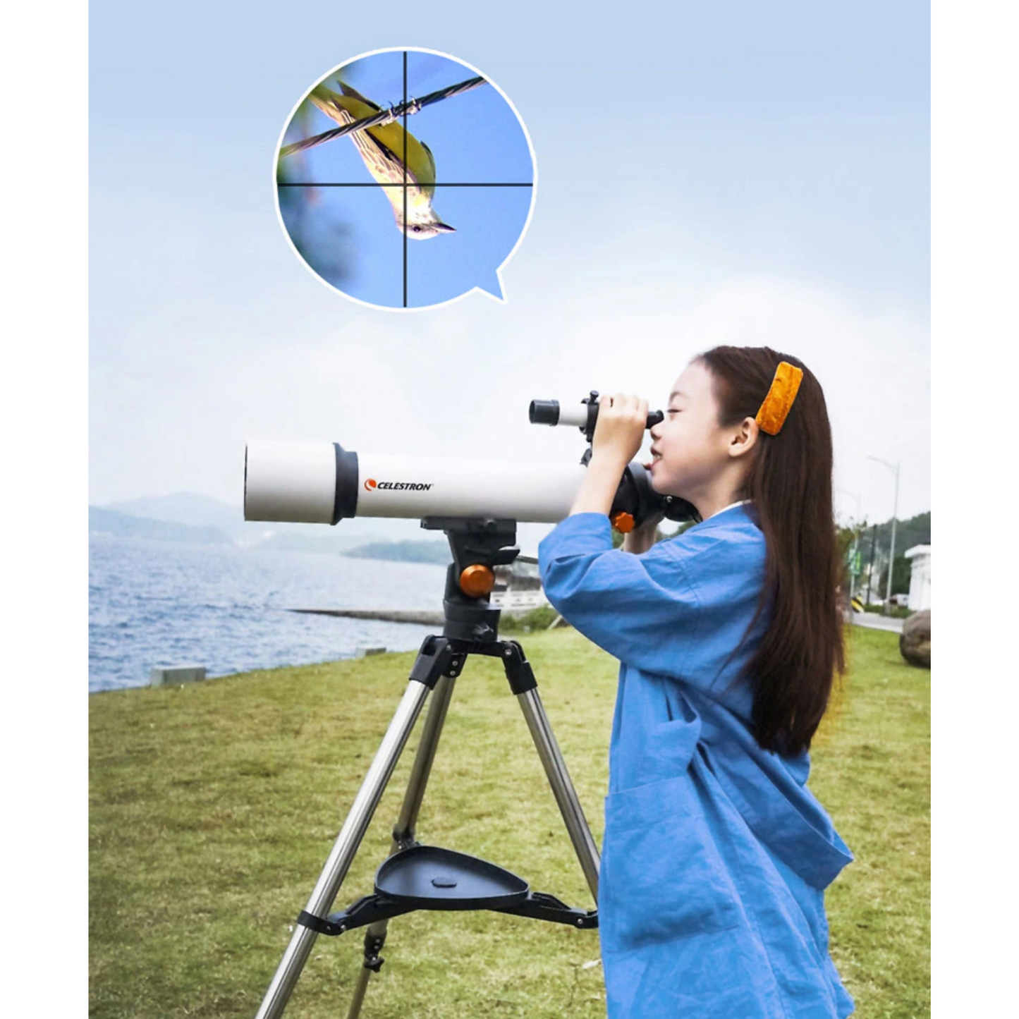 Celestron Libra 80500 Professional Astronomy telescope