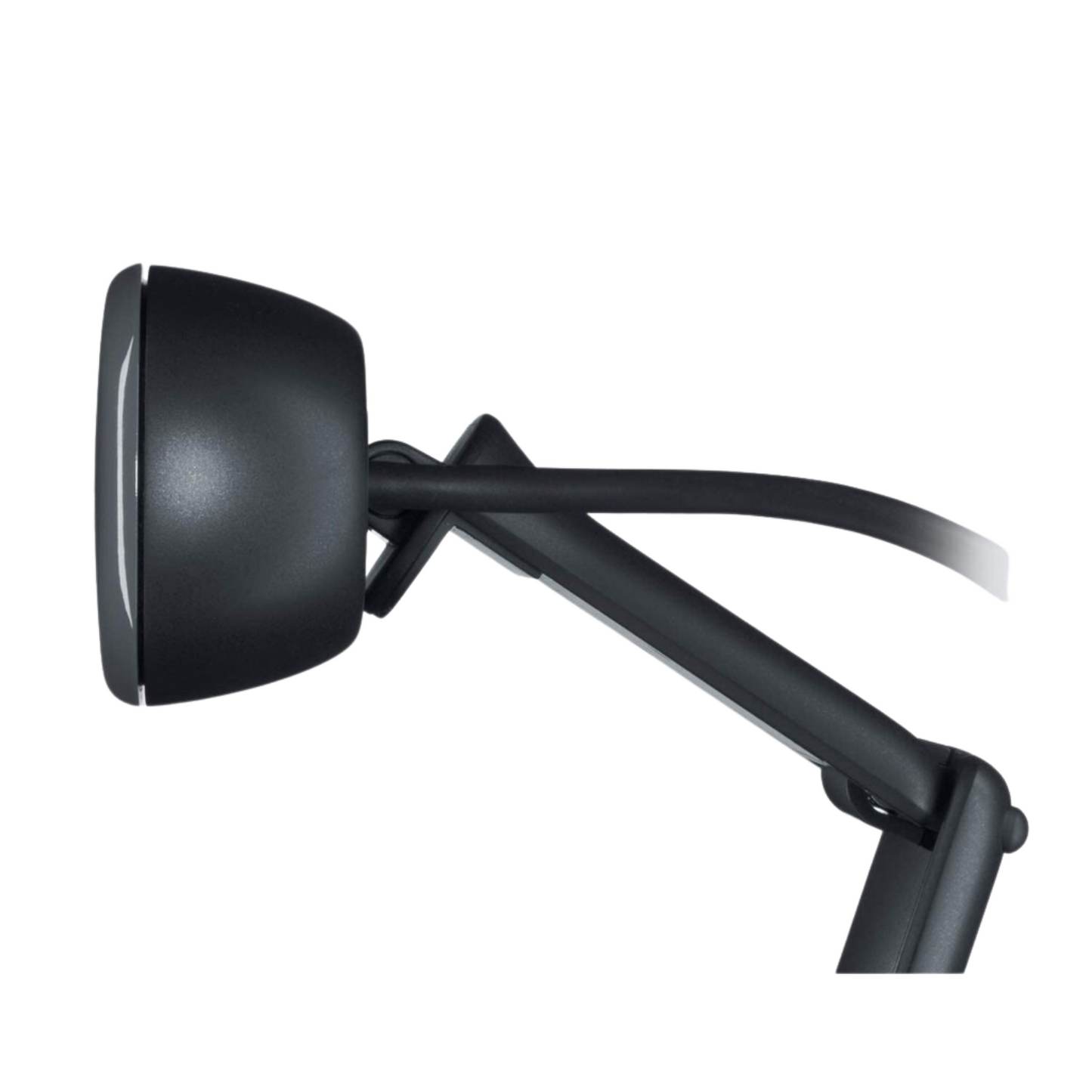 Logitech C505 HD Webcam