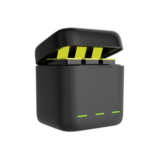 Telesin Charger with 2 Batteries