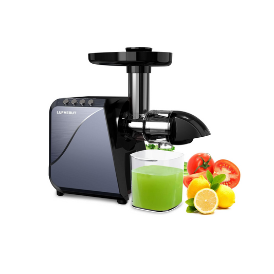 LUFVEBUT 5-in-1 Slow Juicer Machines - Meteorite Gray