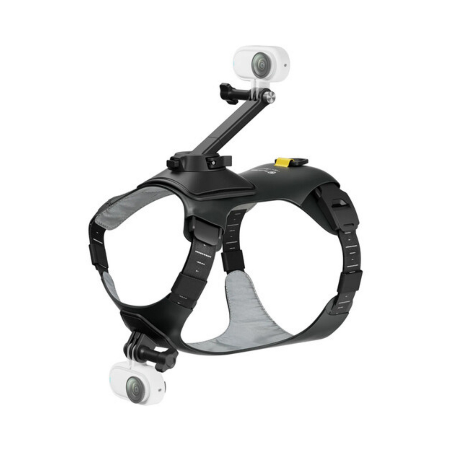 INSTA360 PET HARNESS MOUNT MEDIUM