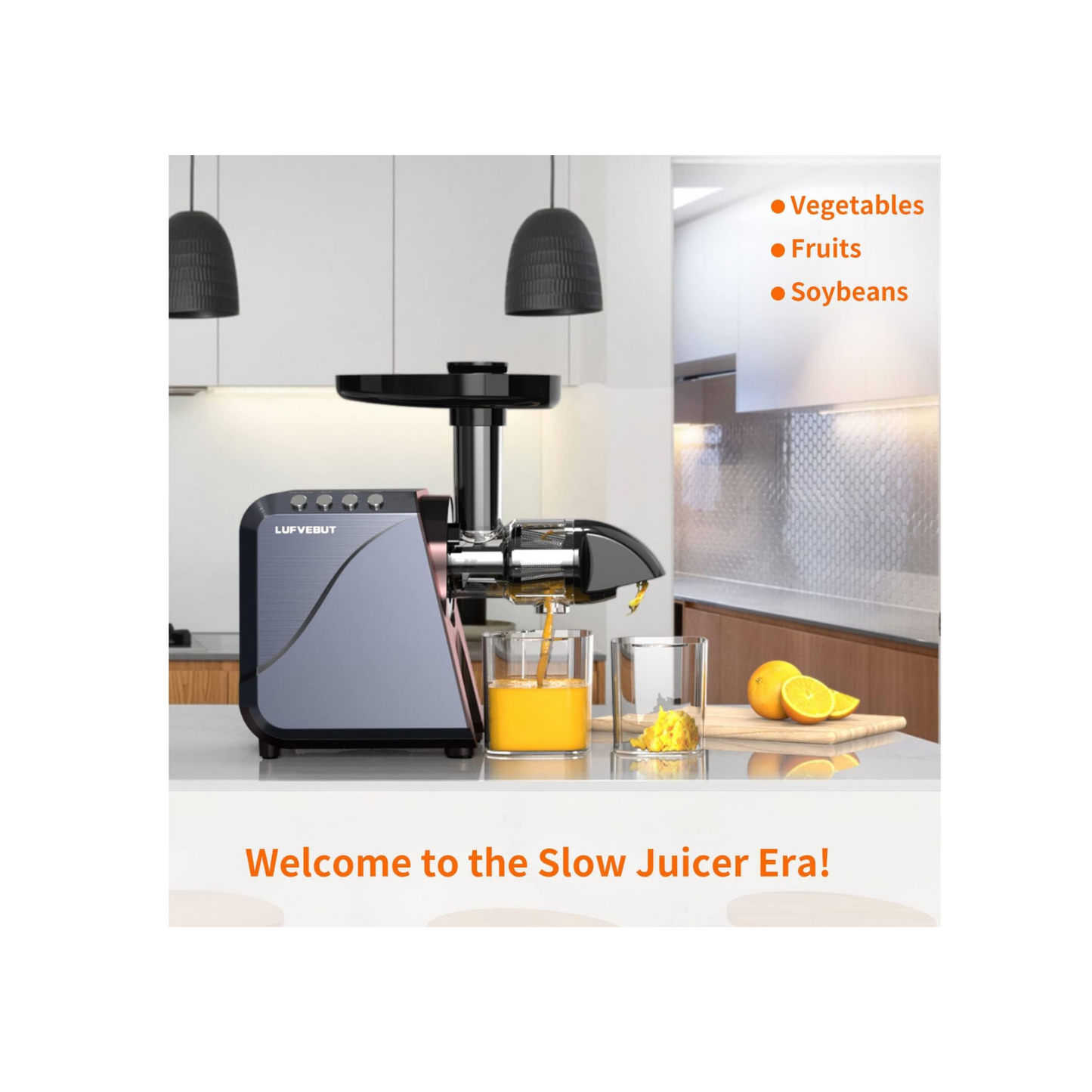LUFVEBUT 5-in-1 Slow Juicer Machines - Meteorite Gray