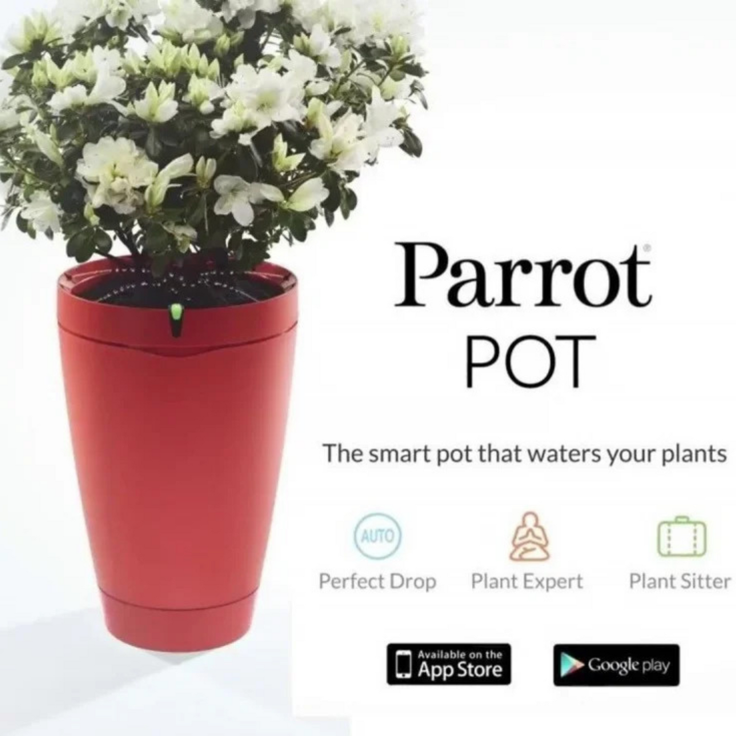 Parrot Pot